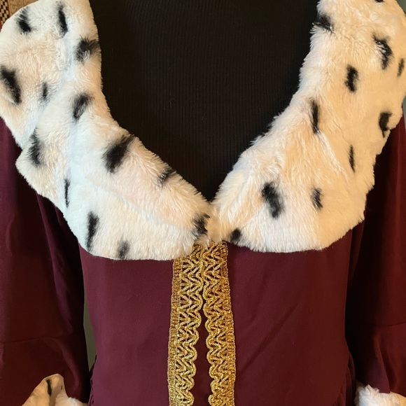 Adult Costume Cosplay Princess, Queen, Cruella de Vil, Big Bad Wolf, Cinderella - Picture 5 of 9